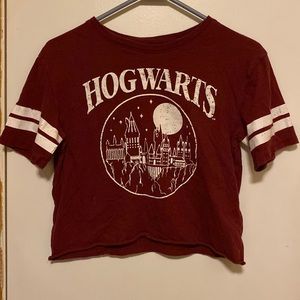 Harry Potter themed hogwarts shirt